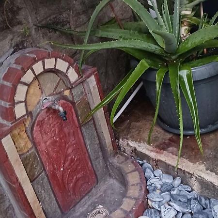 卡瓦拉Garden'S House公寓 外观 照片